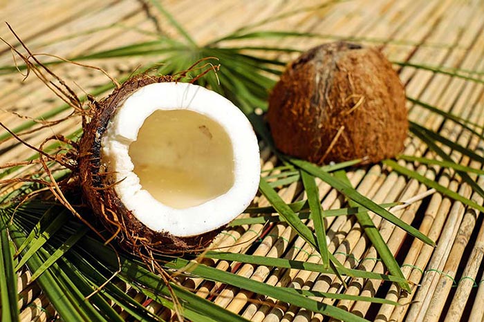 Фото кокоса в разрезе